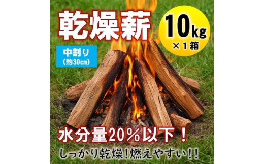 乾燥薪　キャンプ用 10kg　水分量20%以下までしっかり乾燥　中割(約30cm)　広葉樹ミックス【1662925】