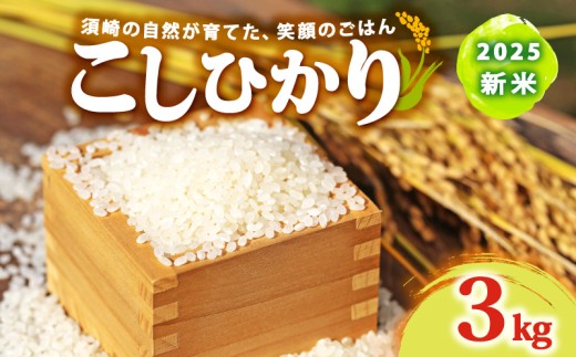 2025 新米 コシヒカリ 3kg 産地直送 新米 8月下旬 から 順次配送 高知県産 白米 精米 こしひかり 米 常温 配送 ブランド米 国産 米 人気 匠 高知県 須崎 SDM002