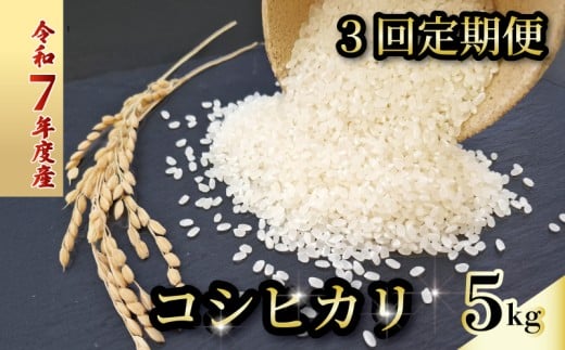【お米定期便】 【3回】 令和7年度 コシヒカリ 数量限定 各5キロ 米 コメ 減農薬栽培 お米 精米 早場米 新米 ご飯 おにぎり こめ 白米 低化学肥料 高知県 南国市