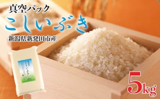 新潟県産 こしいぶき 5kg 令和7年産 真空パック 新米 新発田産 備蓄 非常 防災 長期保存 アウトドア ごはん ご飯 お米 米 こめ 新潟県 新発田市 三糧 sanryo013