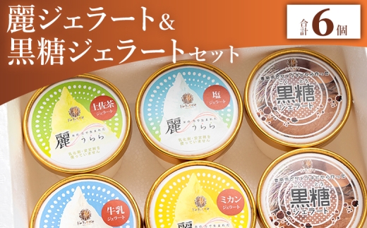 【ジェラート】麗ジェラートと黒糖ジェラート 6個セット - アイスクリーム デザート スイーツ お菓子 洋菓子 詰合せ 詰め合わせ アソート フレーバー ギフト 贈り物 ドルチェかがみ 高知県 香南市 冷凍 dc-0071