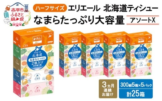 定期便 3ヵ月連続お届け エリエール ハーフサイズ 収納に便利 コンパクト 少量5パック [アソートX] 北海道ティシュー 300組 5箱×5パック 計25箱 なまらたっぷり 大容量  防災 常備品 備蓄品 消耗品 日用品
