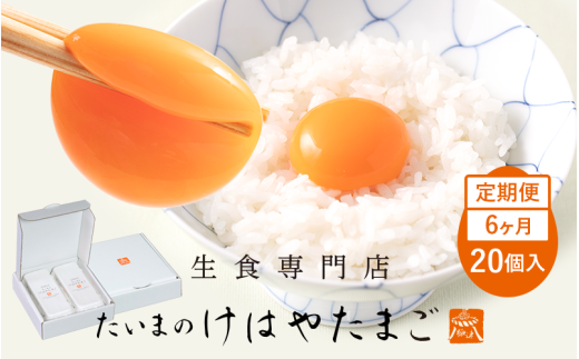 たいまのけはやたまご　20個入　6ヶ月定期便　／　定期便　たまご　生卵　奈良県　葛城市【tegg-tkb002】