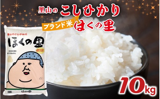 【先行予約】里山のこしひかり ほくの里 10kg × 1袋【2月配送】 | 