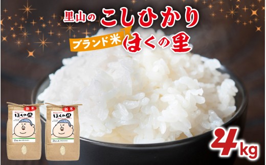 【先行予約】里山のこしひかり ほくの里 2kg × 2袋 計4kg【1月配送】