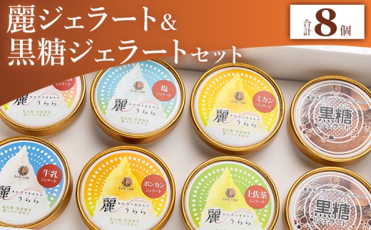 【ジェラート】麗ジェラートと黒糖ジェラート 8個セット - アイスクリーム デザート スイーツ お菓子 洋菓子 詰合せ 詰め合わせ アソート フレーバー ギフト 贈り物 ドルチェかがみ 高知県 香南市 冷凍 dc-0072