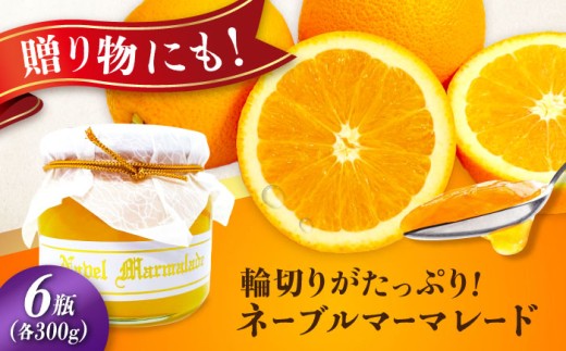 人気のお土産！リピート率ナンバーワン！中下農園の『ネーブルマーマレード』（箱入り・大6個）みかん ミカン マーマレード ママレード ジャム じゃむ 瓶 手作り パン 無添加 オレンジ ネーブル 果実 柑橘 果物 くだもの フルーツ ギフト 贈答品 贈り物 広島県産 江田島市/江田島市観光協会 [XAI008]