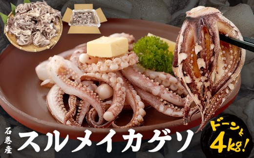 いか 〈 訳あり 〉配送時期指定なし 宮城県産 スルメイカ ゲソ 4kg 冷凍 国産 スルメイカ いか 下足 イカ イカゲソ カルパッチョ おつまみ 魚介類 焼イカ イカ料理 バーベキュー BBQ わけあり 不揃い 烏賊 炒め物 フライ ゲソ天 唐揚げ 石巻応援