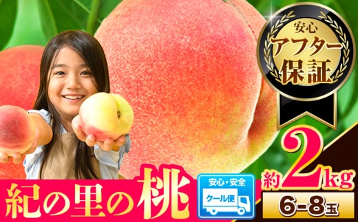 4年連続人気No.1!! 桃 もも～とろけ