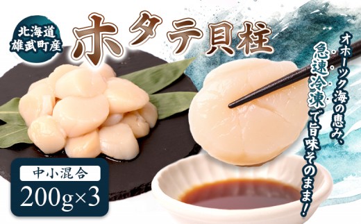 北海道雄武町産ほたて貝柱 中小混合 200g×3 (冷凍) 使い切りパック
