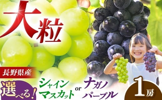 一口で広がる、濃厚な甘さと食感