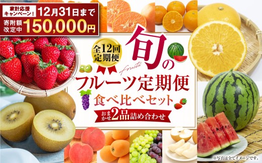 【全12回定期便】旬のフルーツ定期便食べ比べセット