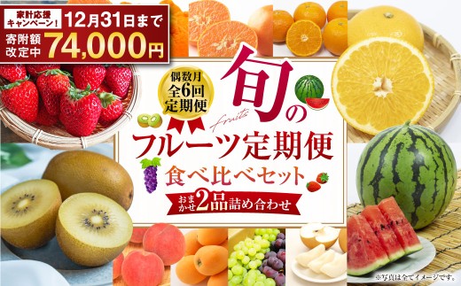 【年6回定期便(偶数月配送)】旬のフルーツ定期便 食べ比べセット 季節により厳選した果物を2品目詰め合わせ 果物 くだもの