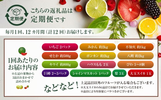 【全12回定期便】旬のフルーツ定期便食べ比べセット