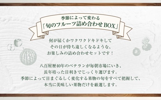 【全12回定期便】旬のフルーツ定期便食べ比べセット