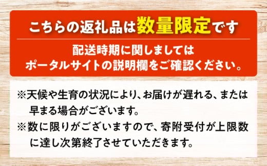 いちご 苺 イチゴ 果物 フルーツ くだもの 先行受付 冷蔵 スイーツ 贈答