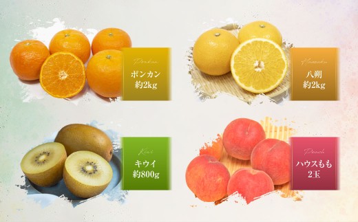 【全12回定期便】旬のフルーツ定期便食べ比べセット