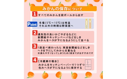 愛媛県松山市のふるさと納税 【先行予約】【2025年11月下旬頃順次発送】 あいか28号 1.5kg（5～8玉） 愛果28号 愛媛 みかん あいか あいか28号 愛果 愛果28号 紅マドンナ 紅まどんな と同品種 蜜柑 アイカ 柑橘 果物 贈答 愛媛のみかん くだもの フルーツ あいか ご家庭用 みかん 数量限定  愛媛県産 ミカン 愛果28号 号 愛媛県 松山市