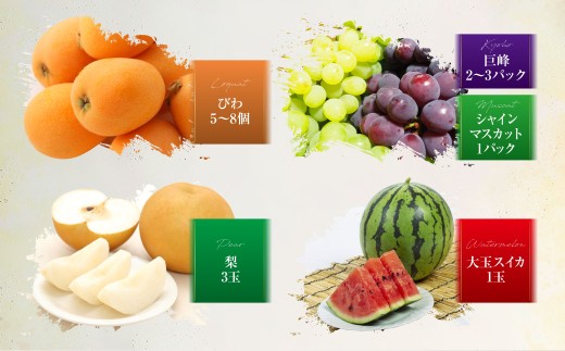 【年6回定期便(偶数月配送)】旬のフルーツ定期便 食べ比べセット 季節により厳選した果物を2品目詰め合わせ 果物 くだもの