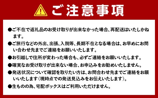 岩手県山田町のふるさと納税 【2026年先行予約】川石水産 牛乳瓶入り生うに 150g×2本 無添加ウニ 瓶入りウニ キタムラサキウニ【令和8年5月中旬～8月上旬配送予定】【配送日指定不可】【沖縄・離島配送不可】 YD-905