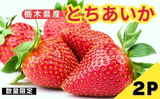 [2月以降発送][期間限定] 栃木県産 いちご とちあいか 12～15粒 × 2P 先行予約 選べる発送月 定期便3回｜栃木県産 矢板市産 フルーツ スイーツ デザート 果物 果実 産地直送 栃木県 矢板市