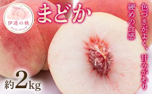 [2026年出荷分先行予約]福島県産 まどか 約2kg (5〜8玉) 農業生産法人種まきうさぎ株式会社 大玉 固め 伊達の桃 桃 フルーツ 果物 もも モモ momo F20C-498