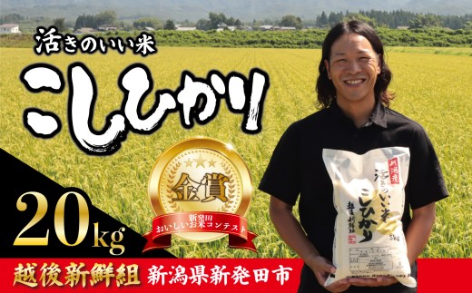【2026年1月以降発送】令和7年産 コシヒカリ 20kg こしひかり 精米 白米 ご飯 おにぎり 弁当 新潟県産 新発田産 新潟 米 お米 こめ 受賞 越後新鮮組 新潟県 米 新潟県 新発田市 shinsengumi003_202601