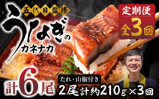 【3回 定期便】国産若うなぎ 2尾 老舗 国産うなぎ セット 詰め合わせ 蒲焼 ウナギ 2尾 うなぎ 鰻 ウナギ unagi 土用 丑の日 国産 国産うなぎ 若うなぎ カネナカ うなぎのカネナカ 蒲焼 タレ付 長焼 お祝い 誕生日 お歳暮 お中元 高級 プレゼント 鰻 うなぎ ウナギ ギフト