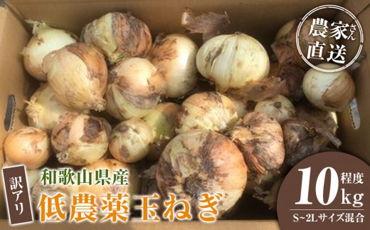 ［2026年発送分・先行予約］訳あり 農家さん直送 低農薬玉ねぎ 10kg程度 S～2L混合［4月中旬～7月中旬頃発送予定］ご家庭用 ※傷有り［KF14］ 2282034 - 和歌山県九度山町