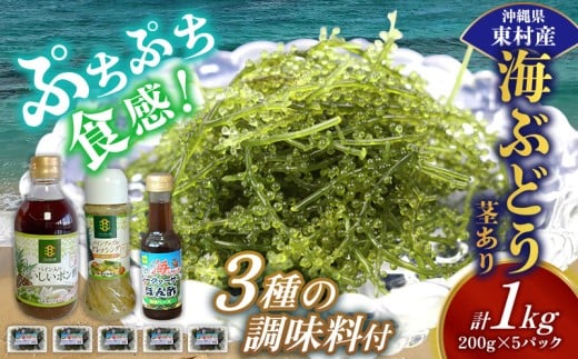美ら海 沖縄県産 海ぶどうセット／茎あり1kg（200g×5パック）＆調味料３種セット 海ブドウ 海ぶどう うみぶどう パック 茎なし ポン酢 ドレッシング たれ付き クビレズタ 海鮮 海藻 プチプチ おつまみ 沖縄料理 ご当地 特産品 グルメ 常温 沖縄県 東村