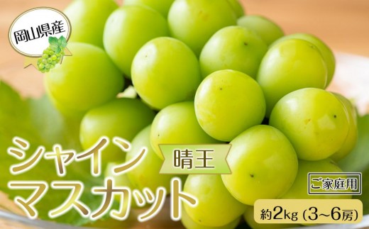 岡山県産 ぶどう 2025年発送 ご家庭用 シャインマスカット 晴王 約2kg（3～6房）｜フルーツ 果物 くだもの ぶどう ブドウ シャインマスカット 晴王 ご家庭用 国産 岡山県産 食品 人気 おすすめ 先行予約 送料無料 ギフト 贈り物 贈答品 プレゼント 果物 くだもの フルーツ ぶどう ブドウ シャインマスカット 晴王