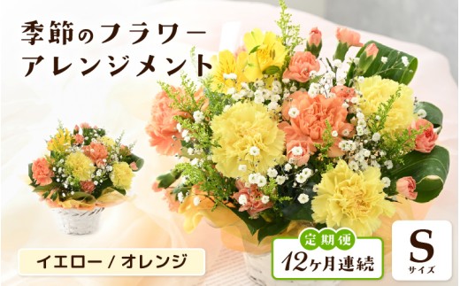 定期便 ≪12ヶ月連続お届け≫ 選べるカラー 季節のフラワーアレンジメント S (イエロー・オレンジ) 【お花 フラワー アレジメント 花束 ギフト 生花 プレゼント 花束 花 記念日 敬老の日 お祝い】 [I-20701_02]
