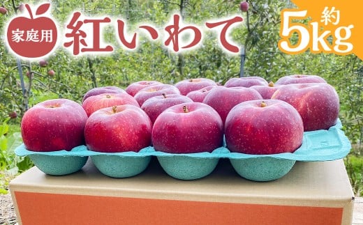 家庭用 りんご 紅いわて 約5kg 【スマートフレッシュ処理】 【2025年10月上旬～12月中旬発送予定】 ／ 林檎 果物 果実 フルーツ スイーツ デザート 岩手県 二戸市 常温