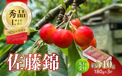 【2026年度先行受付】★さくらんぼ佐藤錦★約540g 秀品 【6月より順次発送予定】 【063-012】