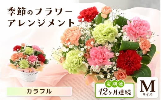 定期便 ≪12ヶ月連続お届け≫ 選べるカラー 季節のフラワーアレンジメント M (カラフル) 【お花 フラワー アレジメント 花束 ギフト 生花 プレゼント 花束 花 記念日 敬老の日 お祝い】 [L-20701_03] 
