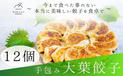餃子 手包み大葉餃子 Sパック 12個入り 餃子屋はまだ