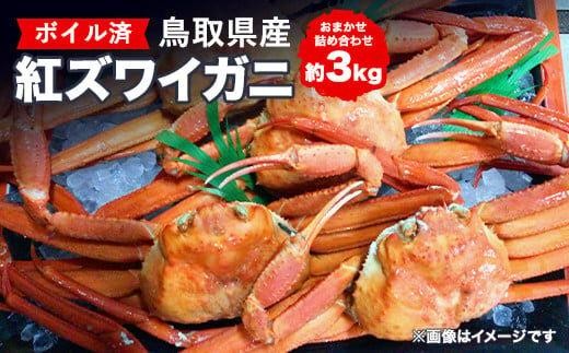 [10/1〜寄附額改定]鳥取県産ボイル紅ズワイガニおまかせ詰め合わせ(約3kg)※着日指定不可※離島への配送不可※2026年2月上旬〜4月下旬頃に順次発送予定 | 蟹 かに 紅ズワイガニ ボイル タグ付き 鳥取県産 北栄町 おすすめ 人気
