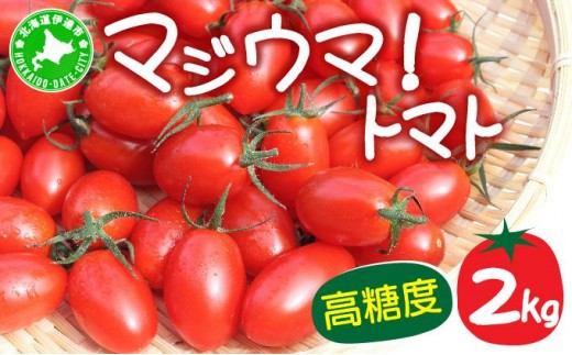 【2026年先行予約】北海道 伊達 岡本園芸 ミニトマト 高糖度 約2kg【マジウマ！トマト】 1273334 - 北海道伊達市