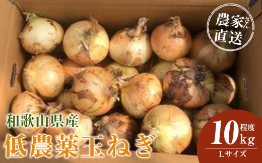 ［2026年発送分・先行予約］農家さん直送 低農薬玉ねぎ Lサイズ 10kg程度［4月中旬～7月中旬頃発送予定］［KF16］ 2282036 - 和歌山県九度山町