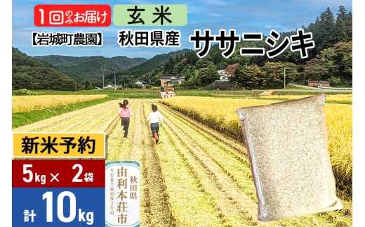 《令和7年産 新米予約》【玄米】ササニシキ 10kg(5kg×2袋) 秋田県 由利本荘市産 令和7年産 真空パック 岩城町農園 1377769 - 秋田県由利本荘市
