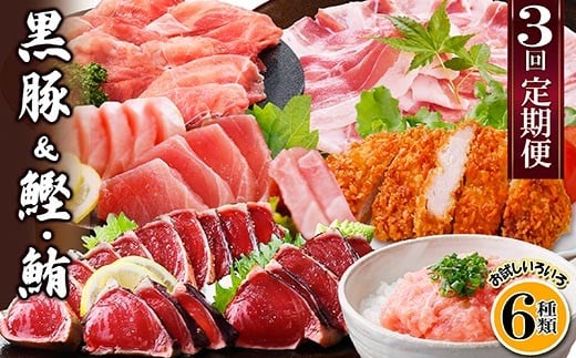 定期便3回配送　黒豚&かつお・まぐろ　QQ-0001_ 定期便 黒豚 肉 かつお 鰹 マグロ 赤身 ネギトロ テキカツ しゃぶしゃぶ用 鹿児島県 枕崎市 人気 おすすめ 送料無料 【1512238】