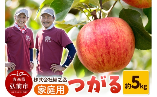 【25年9月～発送】りんご 權之丞farm つがる 家庭用 約5kg（12～20玉程度）【レビューキャンペーン】