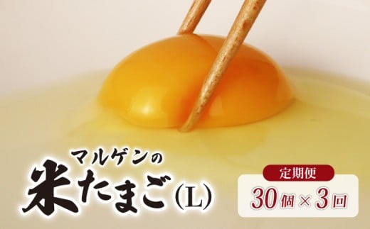 【 定期便 3回 】マルゲンの米たまご Lサイズ 30個 卵 たまご 鶏卵 にわとり 新鮮 こだわり 朝食 昼食 夕食 目玉焼き 卵焼き 玉子焼き たまご焼き 卵かけご飯 たまごかけご飯 オムレツ ゆで卵 卵料理 生卵 国産 産地直送 安心 安全 破損保証 割れ保証 千葉県 旭市 有限会社マルゲン mrg004