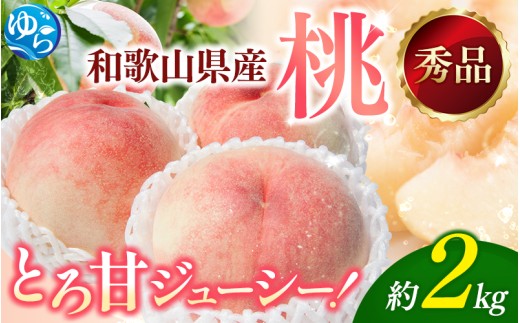 【2026年産】和歌山の桃　約2kg・秀選品 ★2026年6月下旬～8月上旬頃順次発送★【TM167】【tec910B】 480513 - 和歌山県由良町