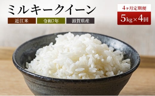 米 定期便 4ヶ月連続 近江米 ミルキークイーン 5kg 令和7年 お米 こめ コメ おこめ 白米 4回 お楽しみ 