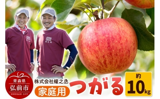 【25年9月～発送】りんご 權之丞farm つがる 家庭用 約10kg（24～40玉程度）【レビューキャンペーン】