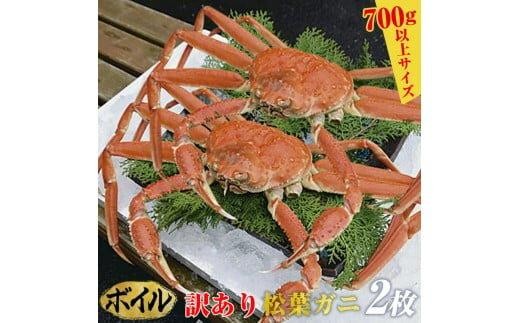 [10/1〜寄附額改定][ボイル]訳あり 松葉ガニ 2枚◇※2025年11月上旬〜2026年3月下旬頃に順次発送予定※着日指定不可