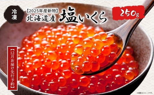 【12月お届け先行予約】【2025年産新物】北海道産 塩いくら（冷凍）250g 【 ふるさと納税 人気 おすすめ ランキング いくら イクラ 塩イラク 塩いくら 冷凍 贈答 贈り物 ギフト お祝い 鮭 さけ サケ 北海道産 オホーツク 北海道 網走市 送料無料 】 ABAB005