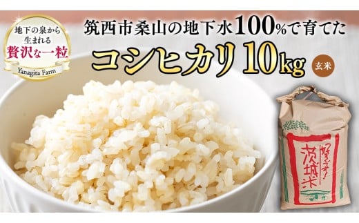 地下水100％で作る美味しい 「 コシヒカリ 」 10kg ( 玄米 ) 令和7年産 新米 米 お米 コメ こしひかり 茨城県 精米 新生活 応援 [DU024ci]
