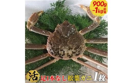 ＜10/1～寄附額改定＞【早期受付】【活】足1本なし　訳あり　松葉ガニ　特大1枚（900g～1kg前後）《かに カニ 蟹 ズワイガニ 》※着日指定不可※2025年11月上旬頃から順次発送予定
